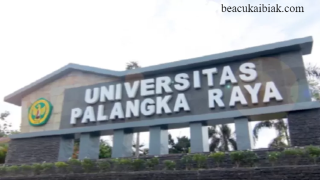 Pilihan Universitas Terbaik Di Palangka Raya