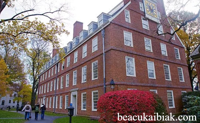 Beasiswa Kuliah di Amerika: Cara Lolos Universitas Top