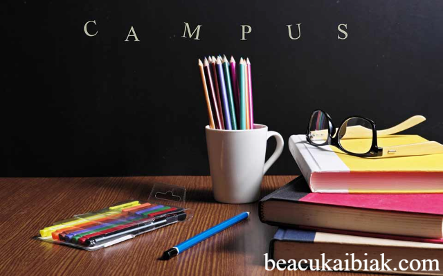 Syarat & Cara Daftar Beasiswa Tokopedia di IPB