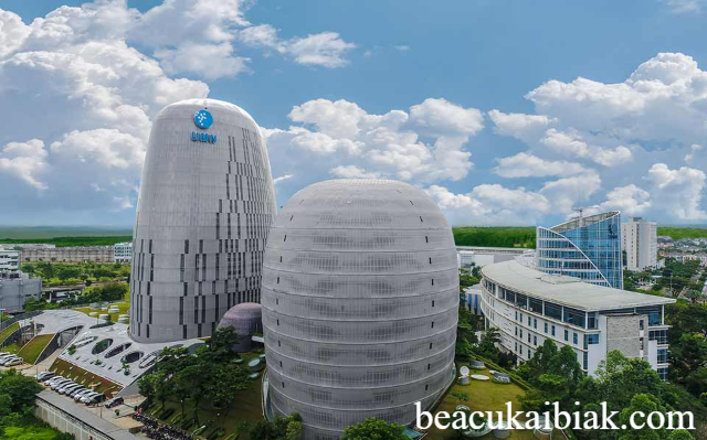 Beasiswa UMN: Jalur Olimpiade & Anak Guru/Karyawan